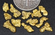 3.65 Grams (12) Alaska Gold Nuggets
